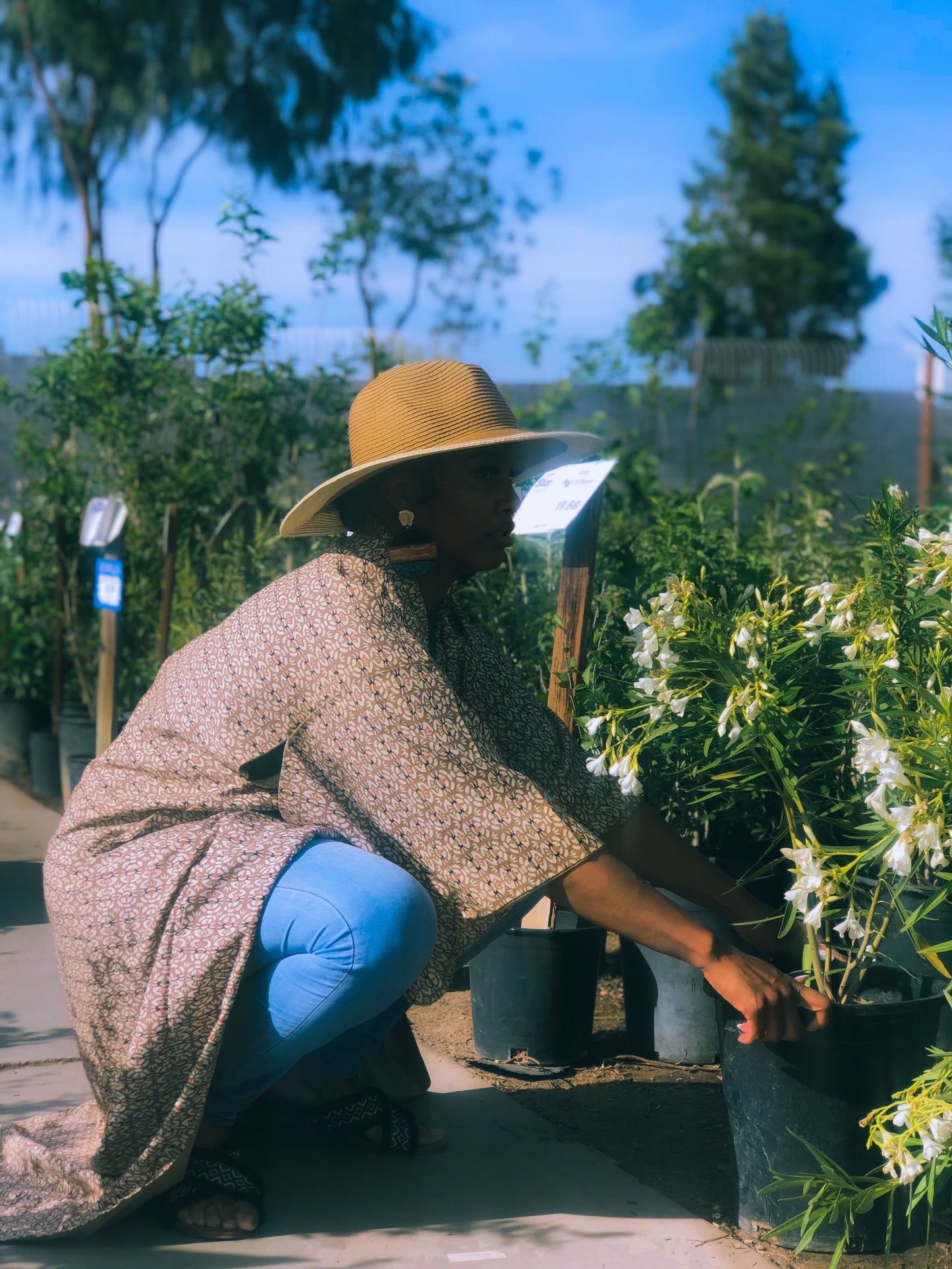 Succulent