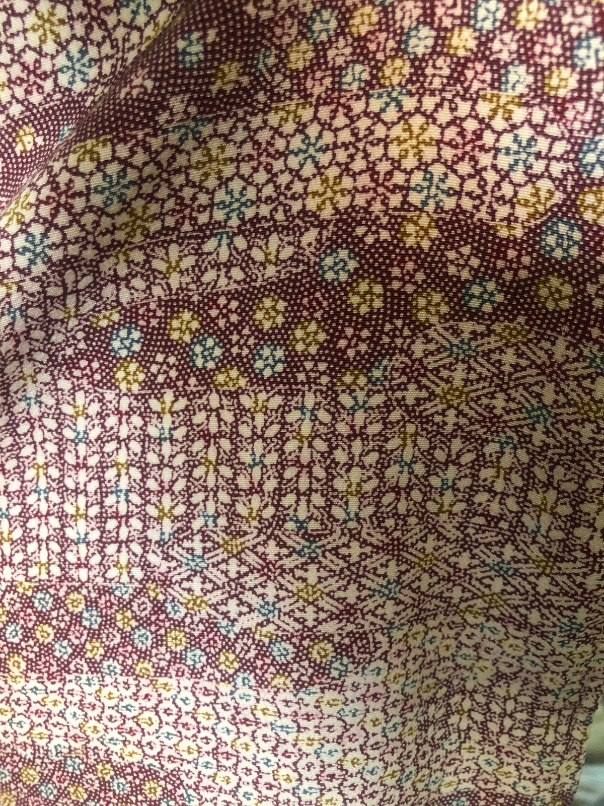 Sahara