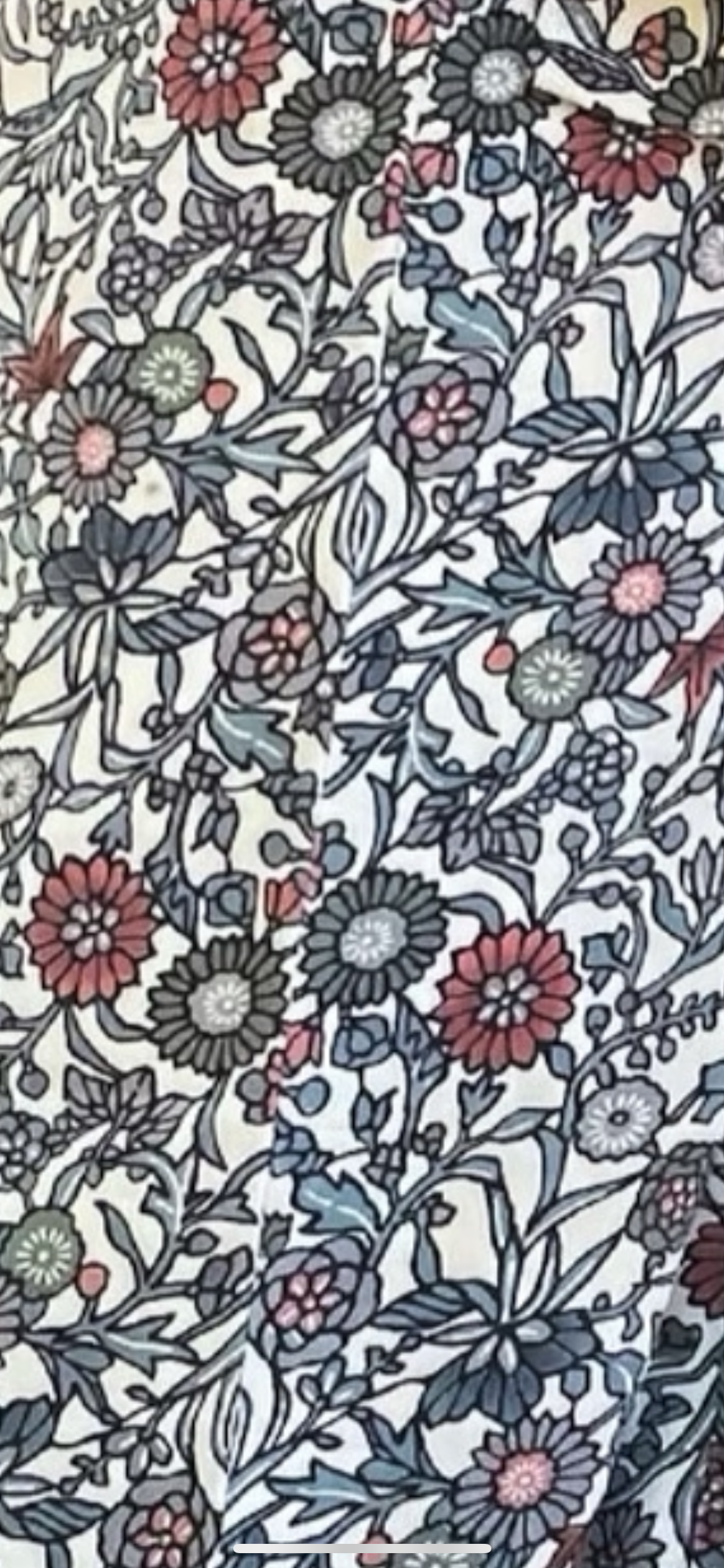 GERBERA